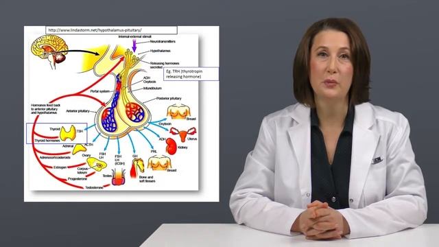 Капельницы красоты и здоровья ЛАЕННЕК в CIFRA BEAUTY CLINIC смотреть онлайн