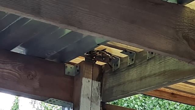 Посвящение в тайный круг