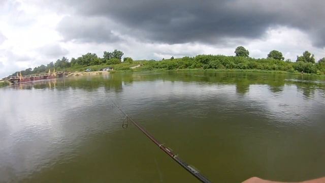 С УОКЕРОМ ЗА БЕЛЫМ ХИЩНИКОМ! ГОЛАВЛЬ И ЖЕРЕХ НА СПИННИНГ НА ПЕРЕКАТЕ смотреть онлайн