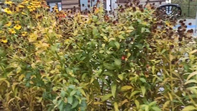 Прогулка по набережной Камы в Перми смотреть онлайн