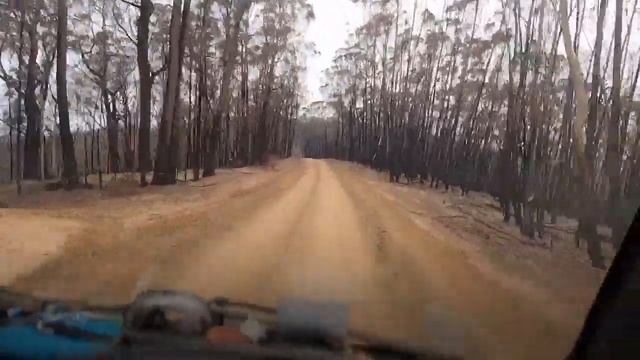 Feeding the Australian Wildlife on the NSW South Coast смотреть онлайн