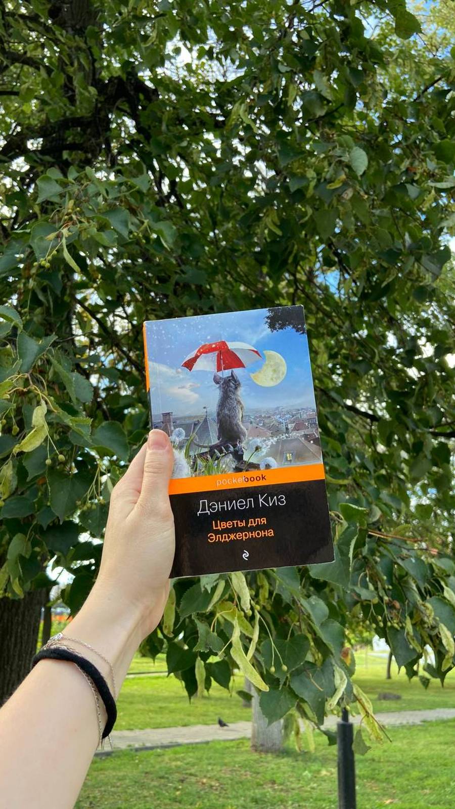 Типичная прогулка книголюба смотреть онлайн