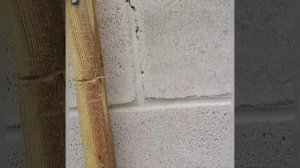 Утепление и отделка фасада дома из керамзитобетонных блоков. Часть 1