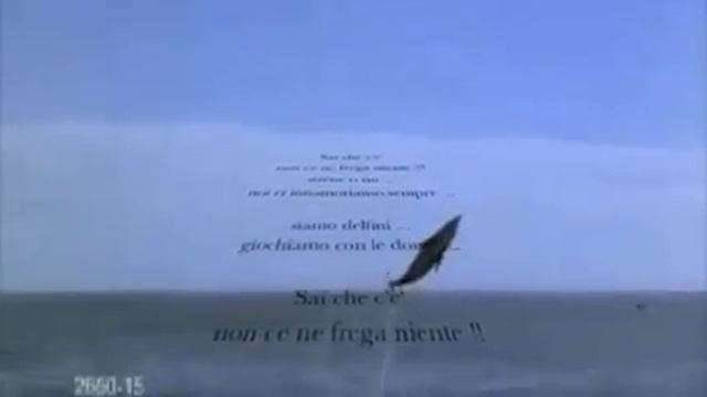 Delfini....Domenico e Massimo Modugno смотреть онлайн