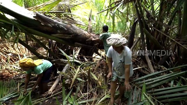SURGA BAHARI KEPULAUAN TOGEAN | JEJAK PETUALANG (24/05/22) Part 2 смотреть онлайн