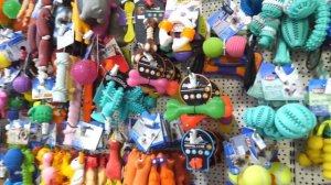 Закупка в зоомагазине. Лимону понравились игрушки