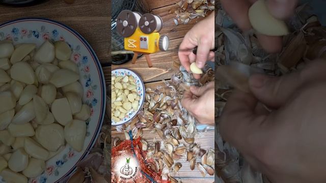 Весёлый Чеснок