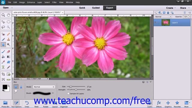 Photoshop Elements 12 Tutorial Blurring & Sharpening Images Adobe Training Lesson 13.6 смотреть онлайн