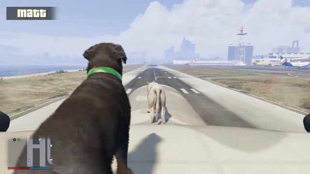 Achievement Hunter: Activating Glue Paws смотреть онлайн