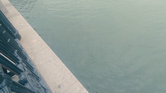 Как ловят Сазана в Ростове на Дону смотреть онлайн