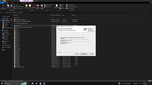 Instalación Oracle Database XE y Sql Developer смотреть онлайн