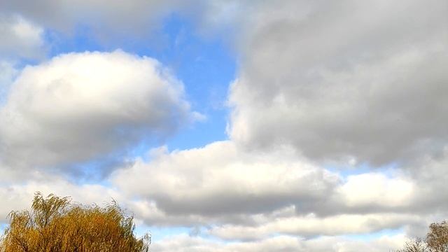 10 признаков того, что вы встретили родственную душу смотреть онлайн