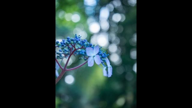 ７年前発売「オリンパスPEN E-PL7キットレンズセット」能登島大橋で星空を撮ってみた