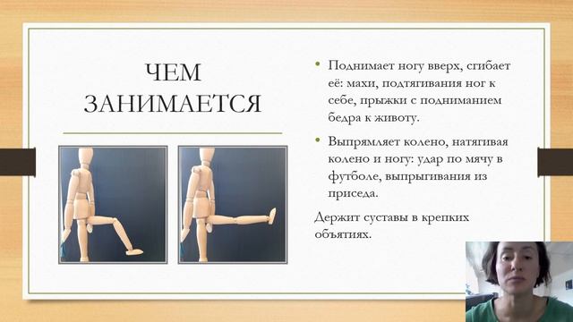 Четырехглавая мышца смотреть онлайн