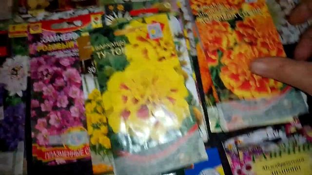 Обзор семян цветов. Однолетники и многолетники. смотреть онлайн