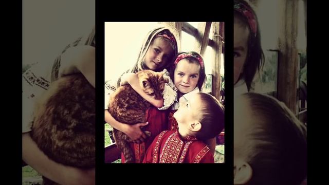 Большая любовь- большая семья❤️ смотреть онлайн