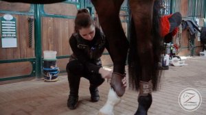 Как правильно седлать лошадь / Основы седловки / Снаряжение для конкура