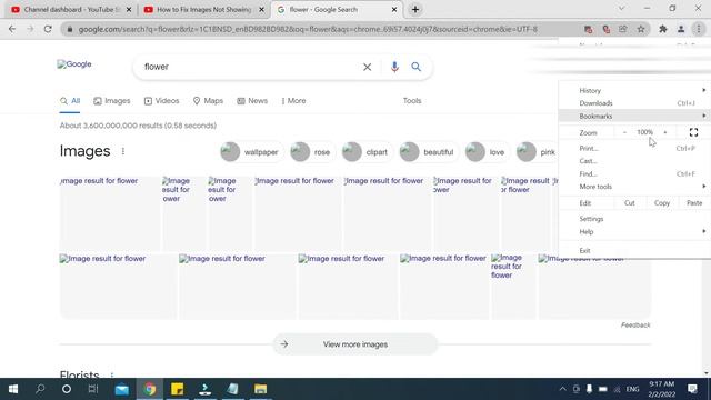 How to Fix Images Not Showing In Google Chrome смотреть онлайн