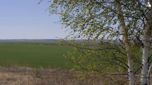 Конференция, Монастырское поле, Набор в семинарию // Владимирская епархия | #9 смотреть онлайн