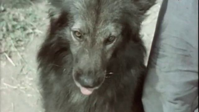 Фитиль №102-02 "Клёва не было" (1964) смотреть онлайн