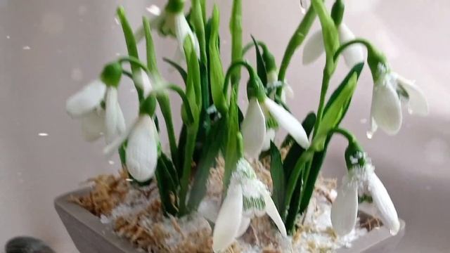 #подарок#цветы #холодныйфарфор #весна #снег #лес #instagram #красота#подснежник #shortvideo #gamin смотреть онлайн