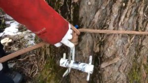 Арбопорт, установка на дерево.