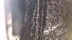 Антикоррозийная обработка, шумо изоляция арок снаружи и подкрылков на автомобиле Форд Фокус