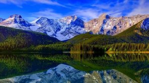 Сборник самой красивой на свете музыки!!! Dmitry Metlitsky /Дмитрий Метлицкий