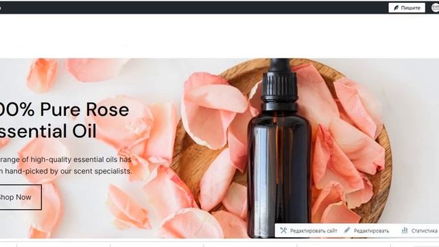 Создание сайта на движке Wordpress для чайников смотреть онлайн