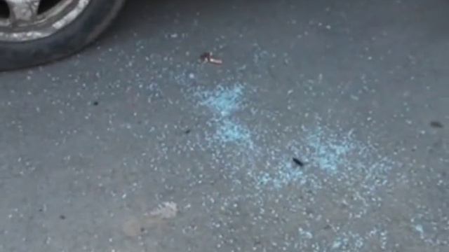 Пьяный дебошир выбил стекло в патрульной машине смотреть онлайн