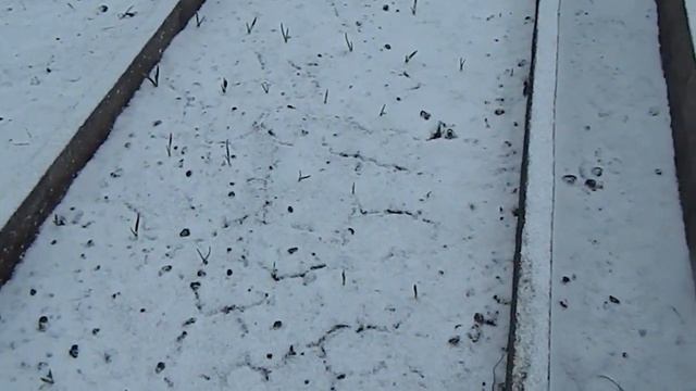 */*#Погода*/* Алтайский край*/* Снова зима */* смотреть онлайн