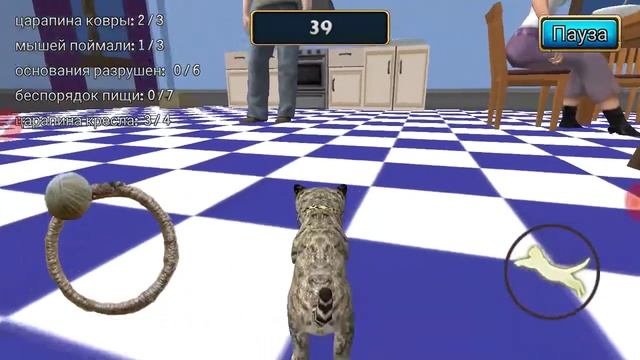 Обзор на игру Cat Simulator: Kitty Craft! 11# Дом №8