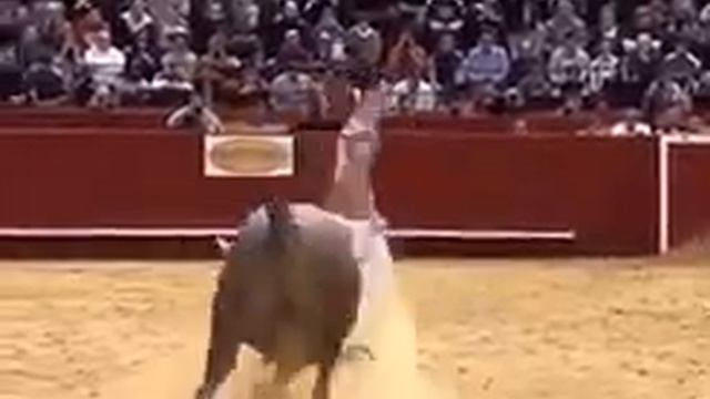 Как обмануть быка, если у тебя стальные яйца / How to trick the bull, if you have steel balls смотреть онлайн