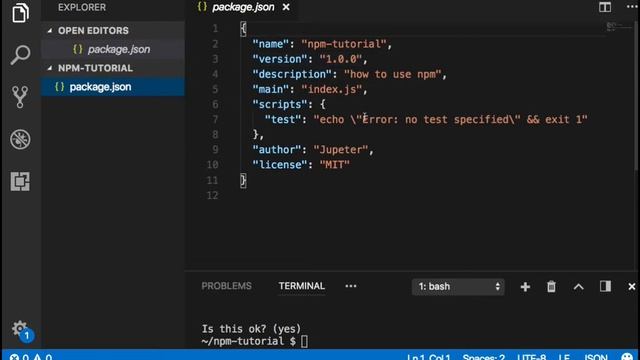 npm 001 Introduction смотреть онлайн