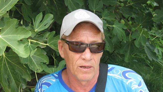 Гостевой дом в Небуге