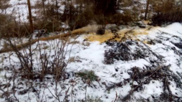 Откачка воды из колодца д.Никулинские выселки декабрь 2014(1) смотреть онлайн