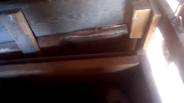 Если у крольчат заболели глаза. смотреть онлайн