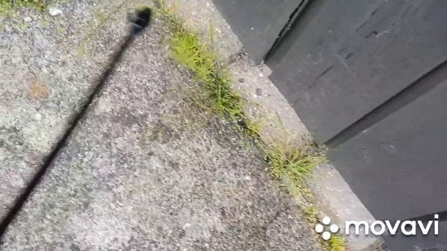 Домовладелец Мастер