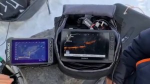 "Актив таргет" против "Паноптикс лайвскоп"