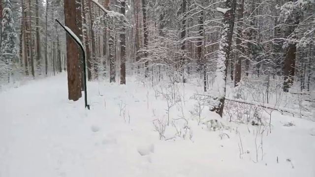 Первая ярмарка в этой зиме в городе Нефтекамск. На Тропе здоровья упало дерево! смотреть онлайн