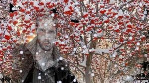 У ДОРОГИ АЛАЯ РЯБИНА - исп. А. Талин ( мне понравилось)