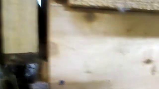 Как помочь первородкам с опушением гнезда. смотреть онлайн