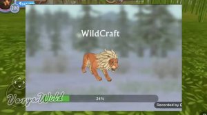 Что делать если выходит ошибка тайм-аут в вайлд крафте?Ответ тут!{?VaryaWild?}