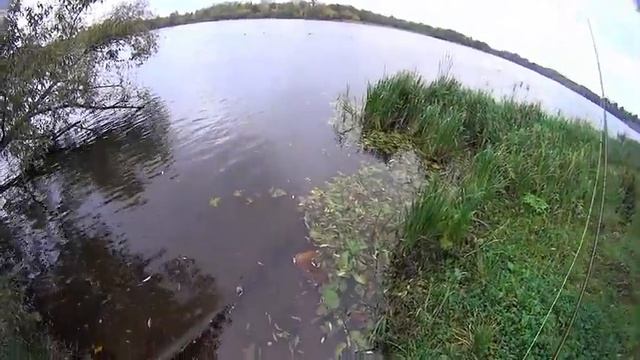 Рыбалка на Котовском заливе Сентябрь 2016. Часть 1 - нахлыст. смотреть онлайн