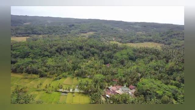 Perjalanan DRON SJRC F11S 4 K PRO #01 #wisataalam смотреть онлайн