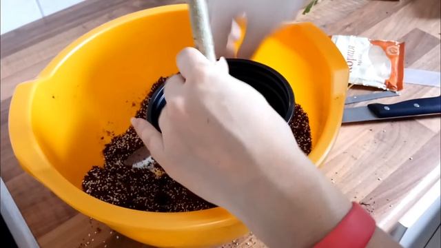 16. Пересаживаю адениумы. Грунт для адениумов. Мой уход смотреть онлайн