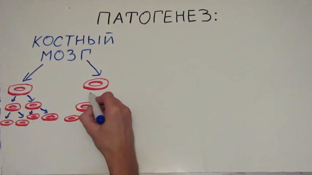 Болезнь Вакеза смотреть онлайн