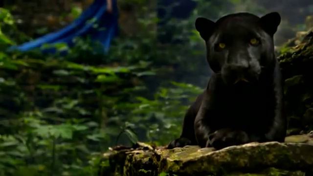Самое красивое видео о природе. смотреть онлайн