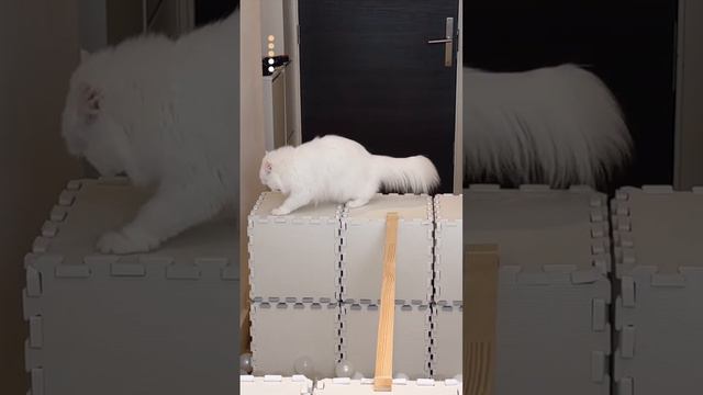 Рекорд смотреть онлайн