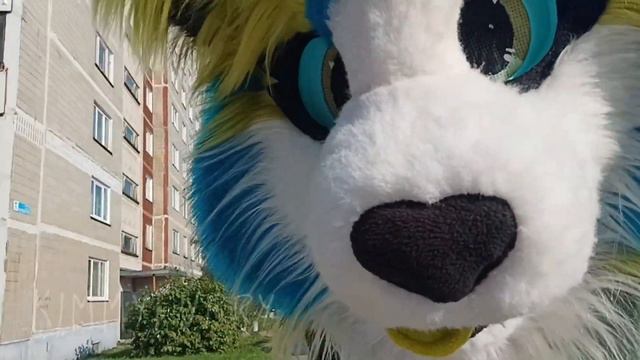 ×фурри прогулка в Новоуральске! 1 часть× смотреть онлайн